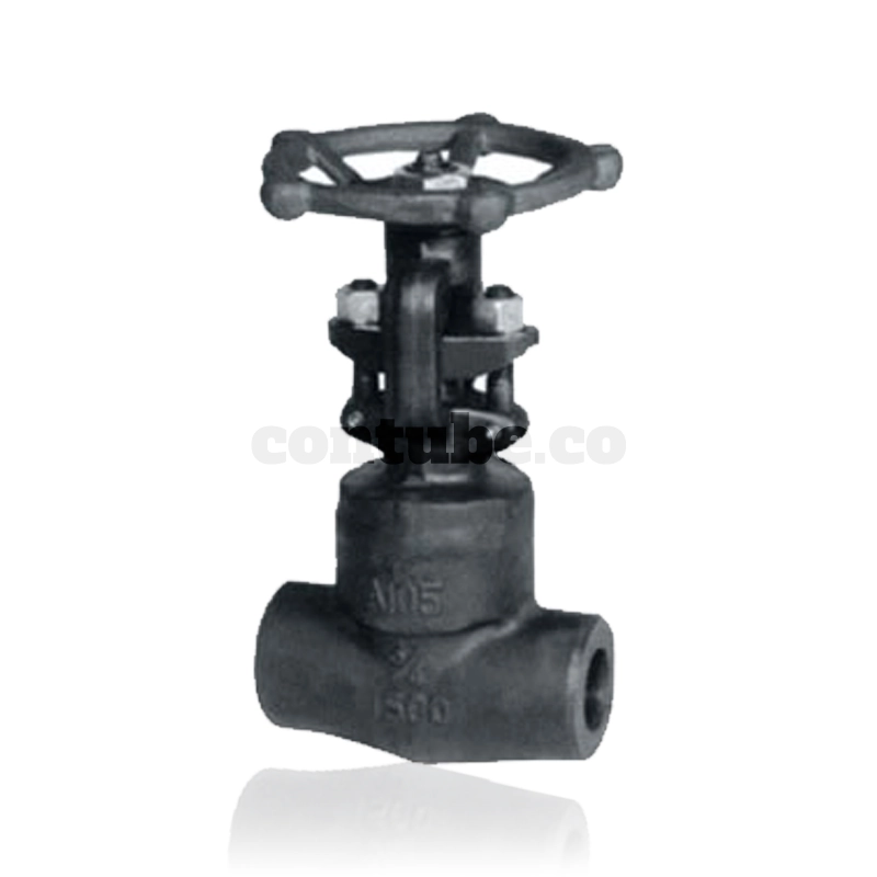 Forged Steel Gate Valve