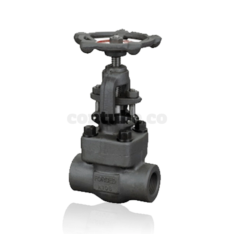 Forged Steel Globe Valve