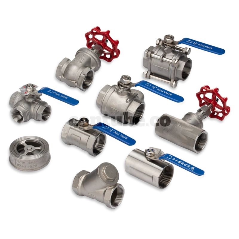 Cast Steel Valve